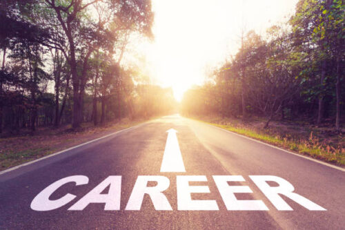career journey